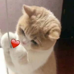 久久超碰色中文字幕超
